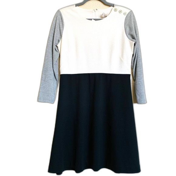 Ann Taylor Loft petite dress for women Color Block A-line Dress size 8P academia - Picture 1 of 12